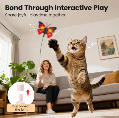 Spinning Butterfly Cat Toy