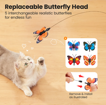 Spinning Butterfly Cat Toy