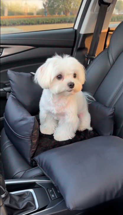 Black - Pet Travel Car Seat