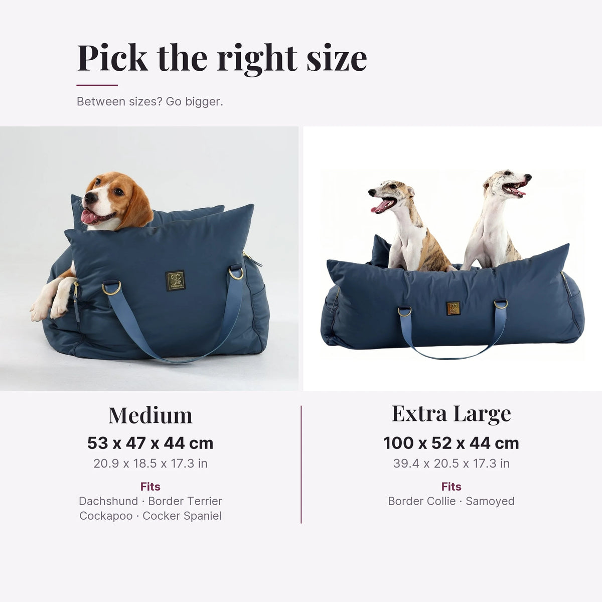 Petsperro dog car seat size guide: Medium for Dachshunds and Cockapoos, Extra Large for Border Collies and Samoyeds