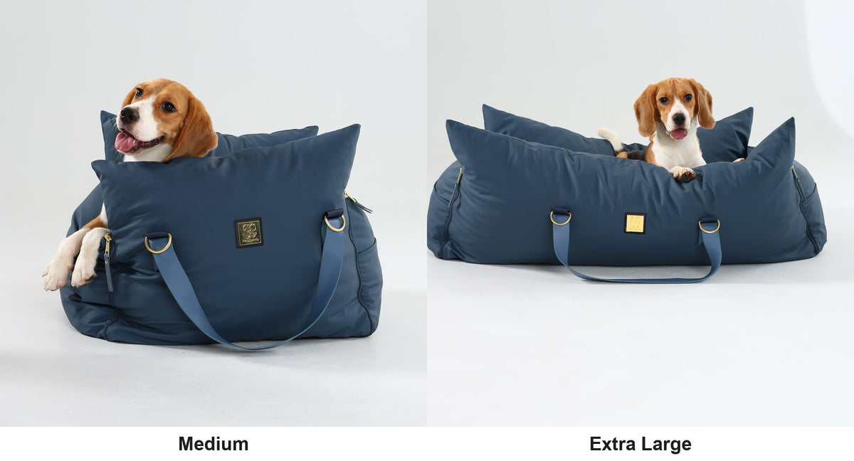 The same beagle in the Medium and Extra Large navy petsperro dog car seat, size comparison