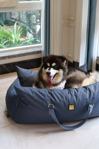 Alaskan Malamute lying in the XL navy petsperro dog car seat bed at home by the window