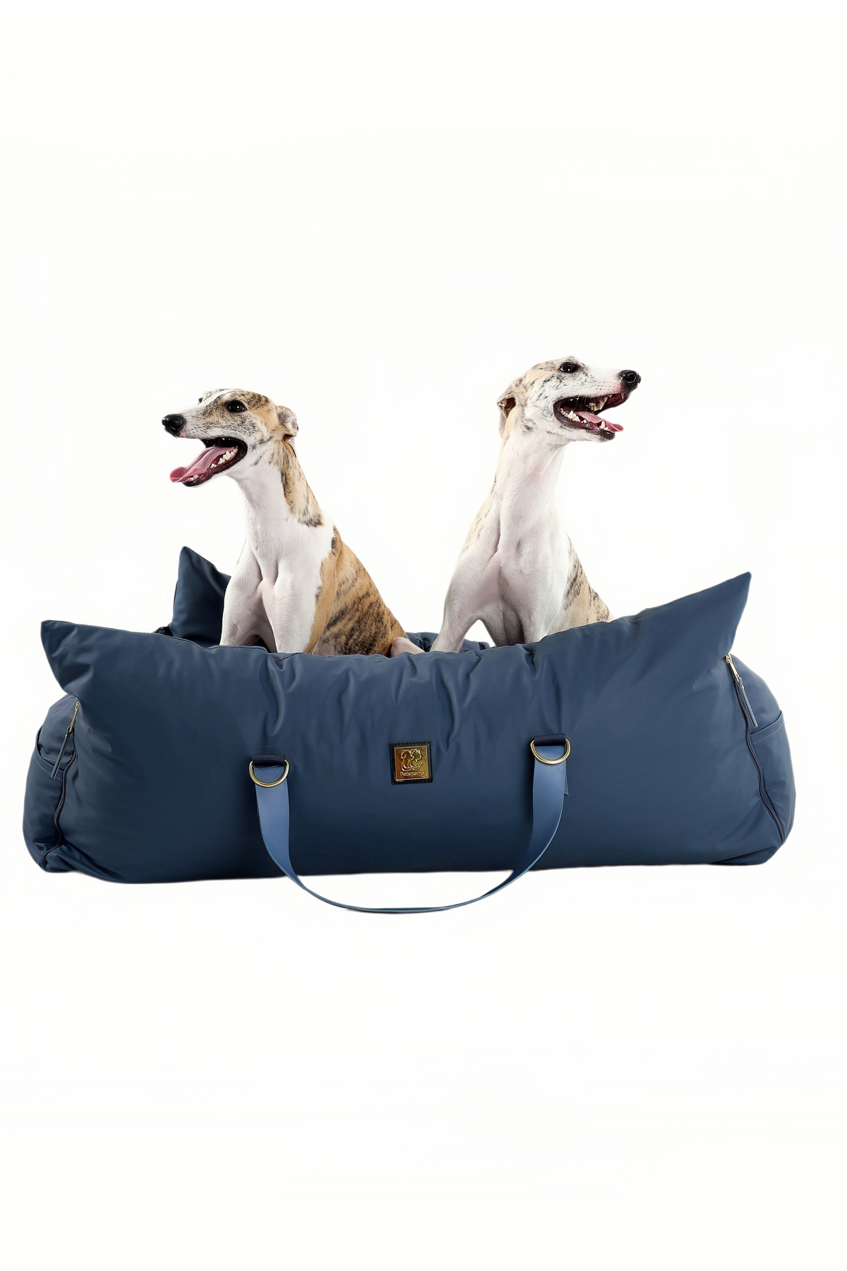 Two whippets sitting in the XL navy petsperro dog car seat bed with carry handles